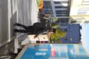 Nordflytts flyttbil i stadsmiljö under en långdistansflytt.